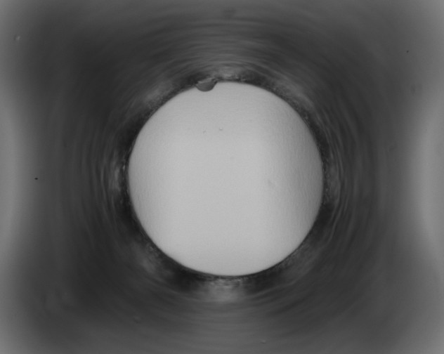 X0000082970126200703020243