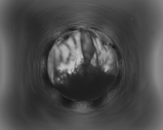 X0000082970127200703020243