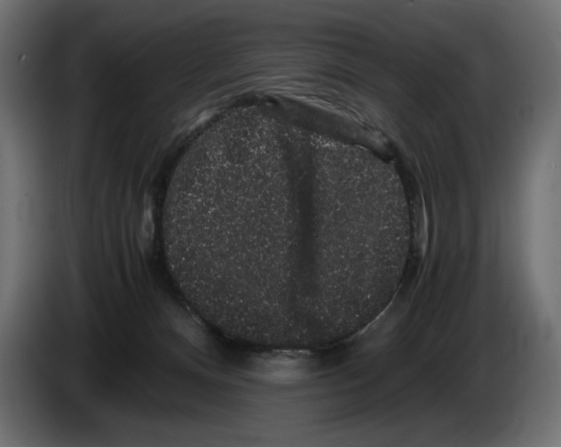 X0000082970128200703020243