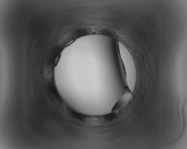 X0000082970129200703020243