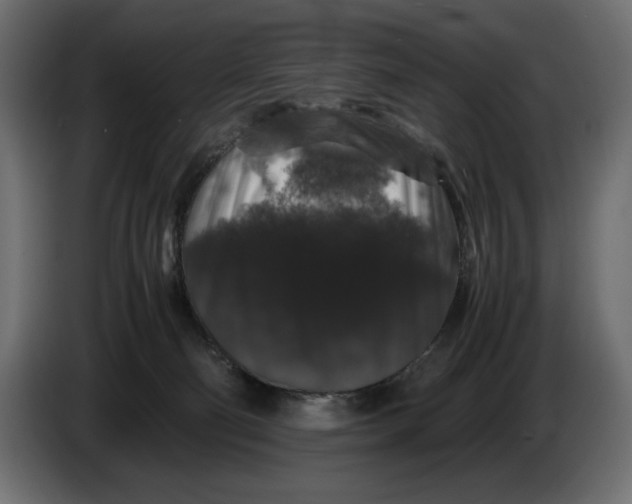 X0000082970130200703020243