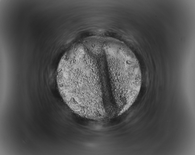 X0000082970131200703020243
