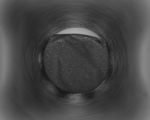 X0000082970132200703020243