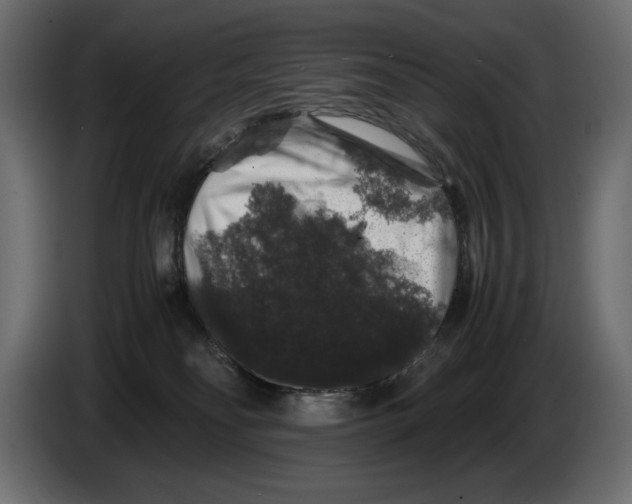 X0000082970134200703020243