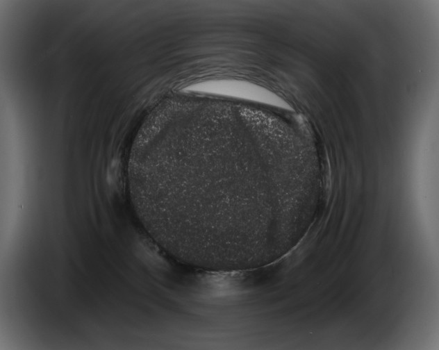 X0000082970136200703020243