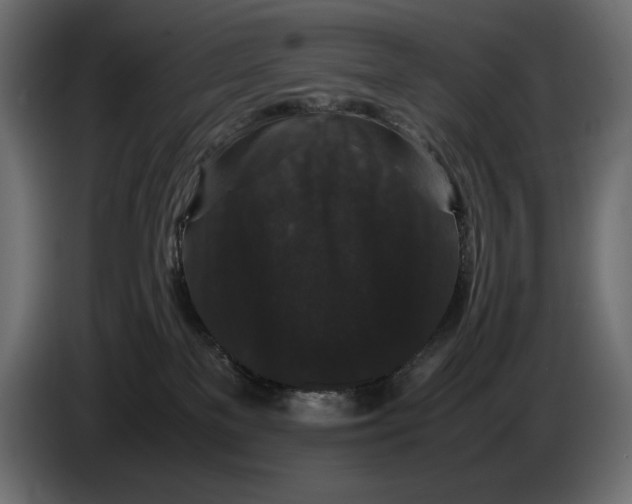 X0000082970137200703020242