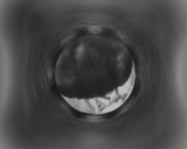 X0000082970139200703020242