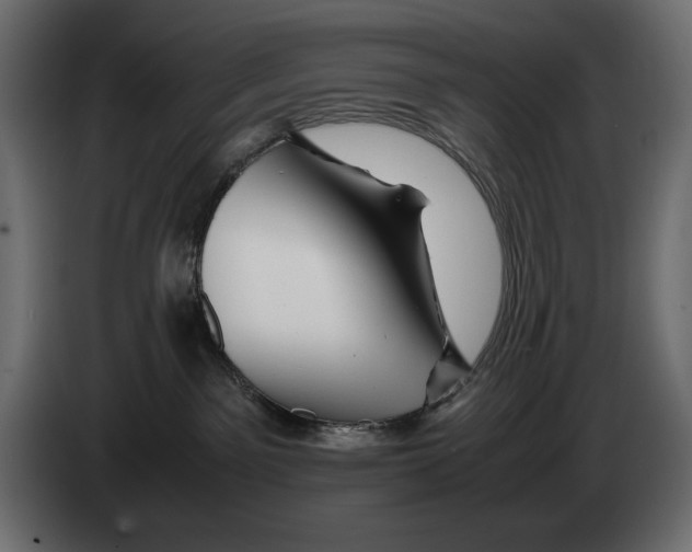 X0000082970141200703020242