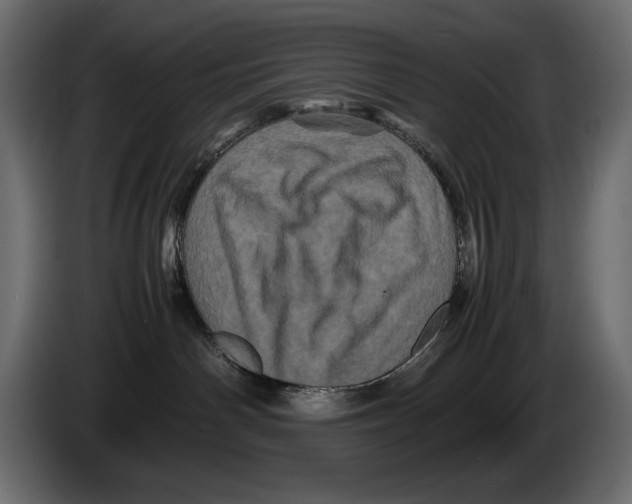 X0000082970142200703020242