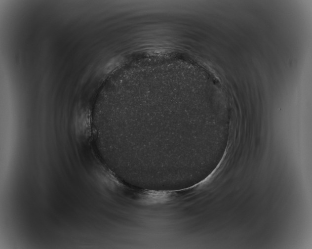 X0000082970144200703020242