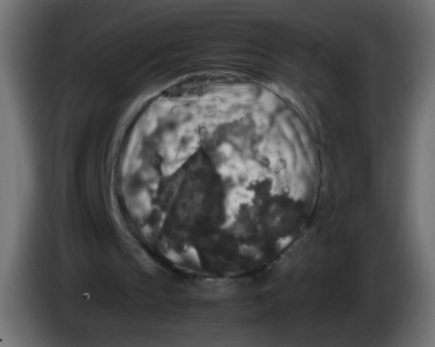 X0000082970145200703020242