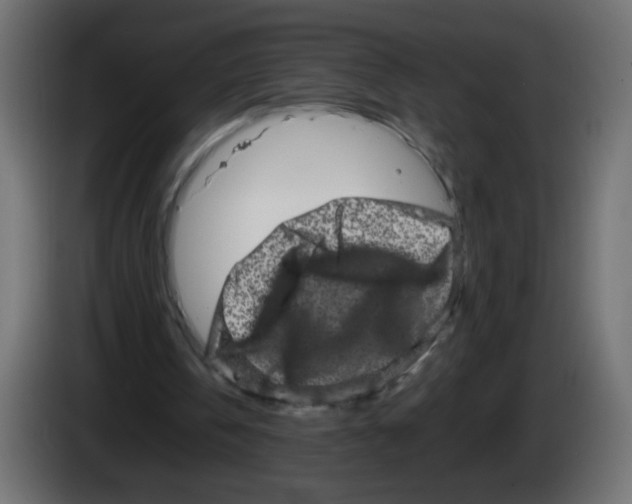 X0000082970146200703020242