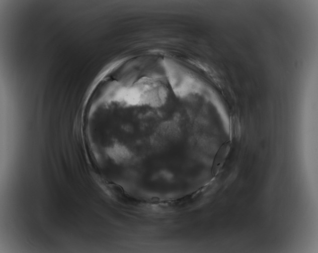 X0000082970147200703020242
