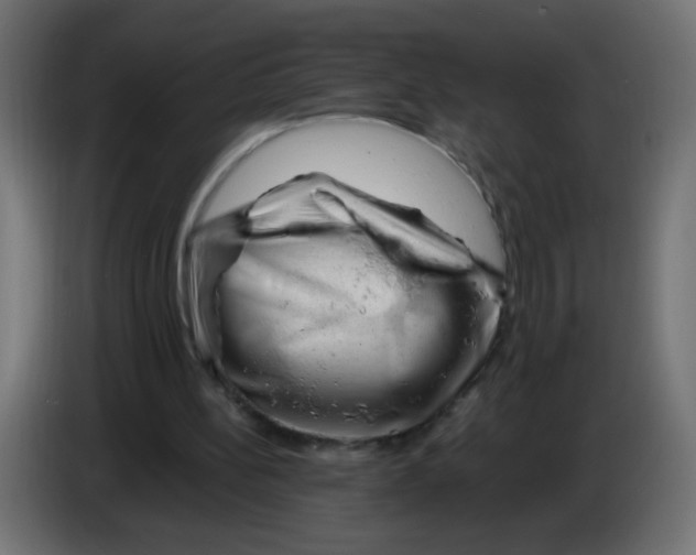 X0000082970148200703020242