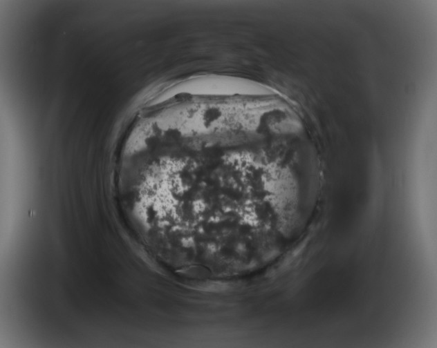 X0000082970149200703020242