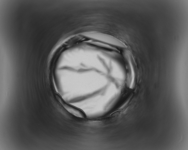 X0000082970150200703020242