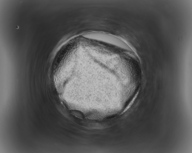 X0000082970151200703020242