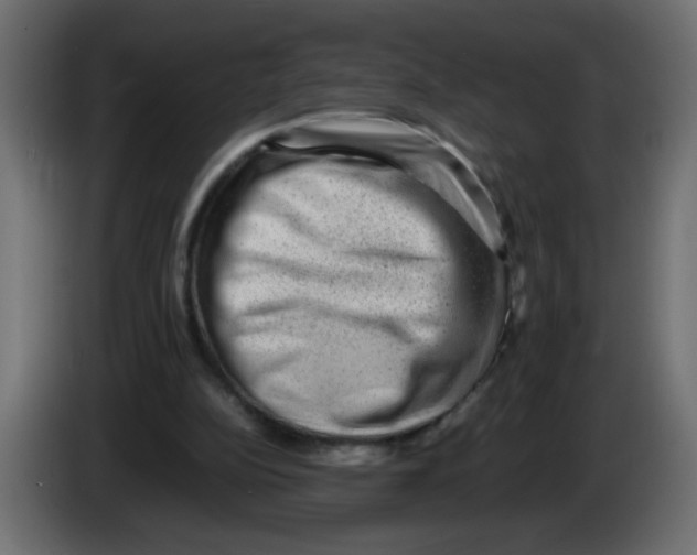 X0000082970152200703020242