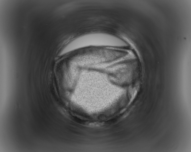 X0000082970153200703020242