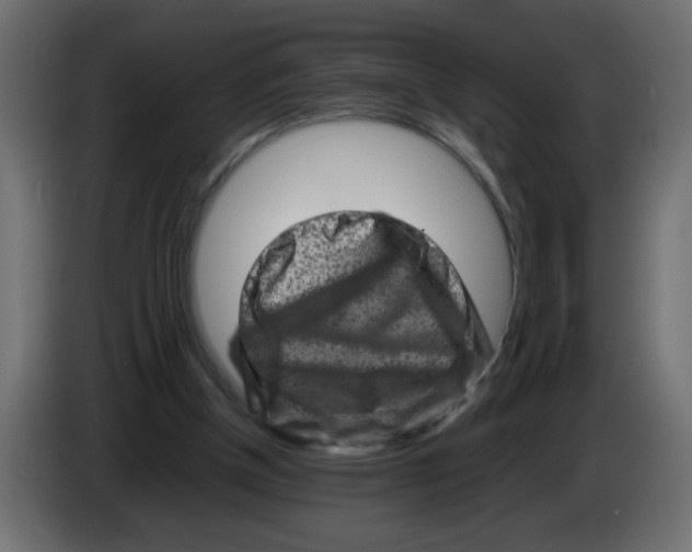 X0000082970154200703020242