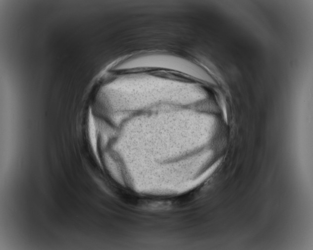 X0000082970155200703020242