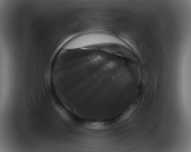 X0000082970156200703020242
