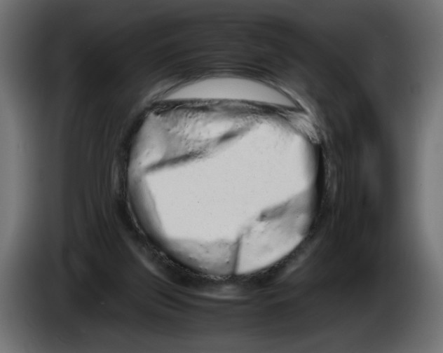 X0000082970157200703020242