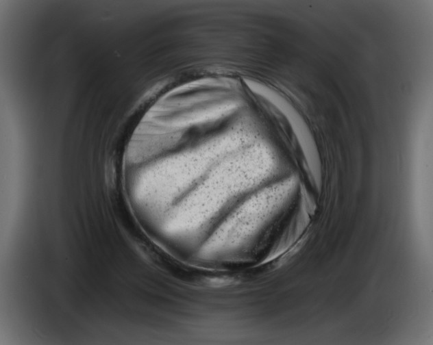 X0000082970158200703020242