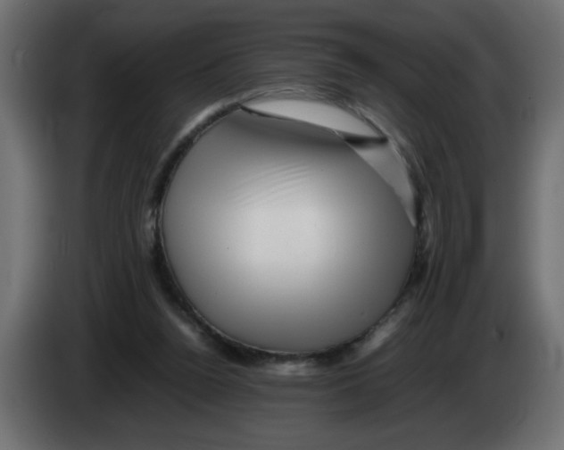 X0000082970160200703020242