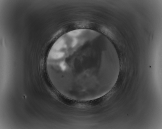 X0000082970163200703020242