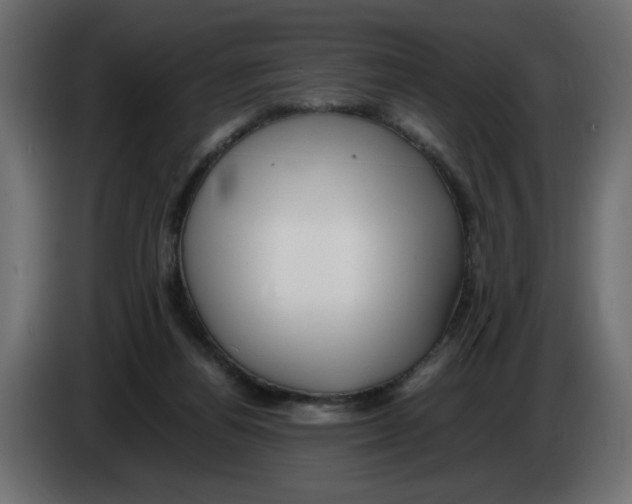 X0000082970164200703020242