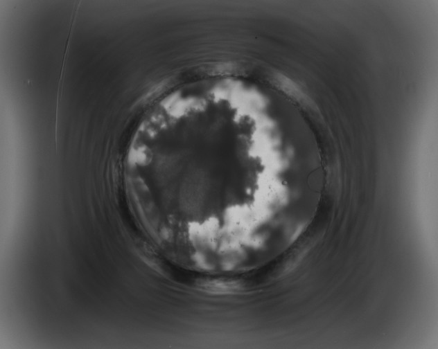 X0000082970165200703020242