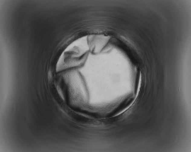 X0000082970166200703020242