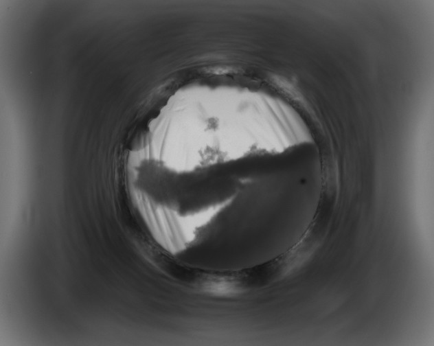 X0000082970167200703020242