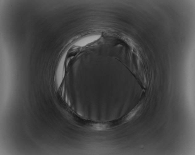 X0000082970168200703020242