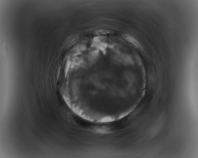 X0000082970169200703020242