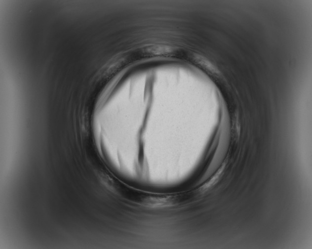 X0000082970170200703020242