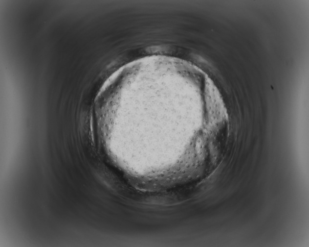 X0000082970171200703020242