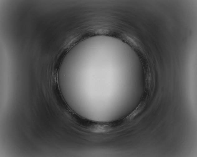 X0000082970172200703020242