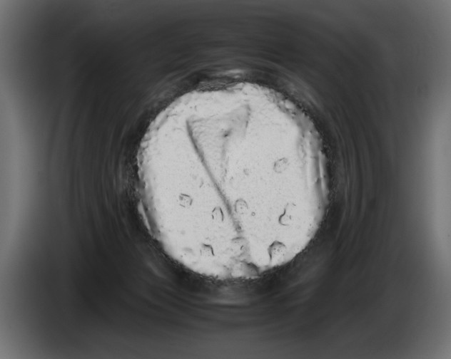 X0000082970173200703020242