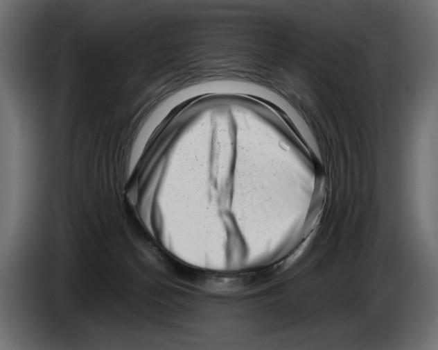 X0000082970174200703020242