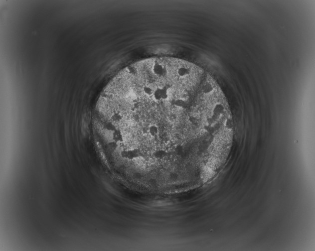 X0000082970175200703020242
