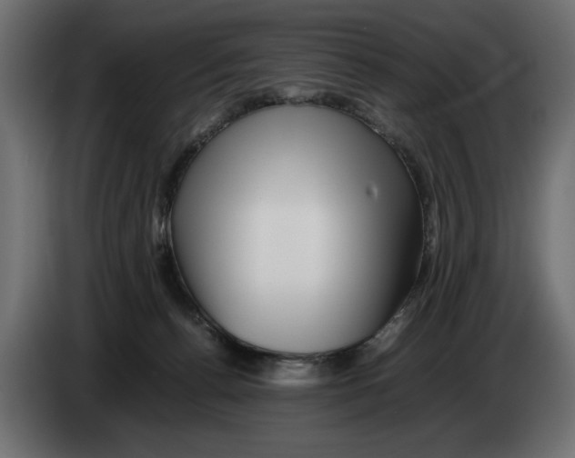 X0000082970176200703020242