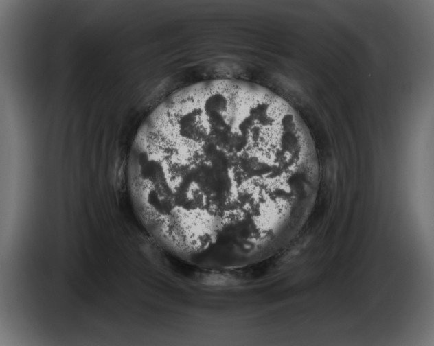 X0000082970177200703020242