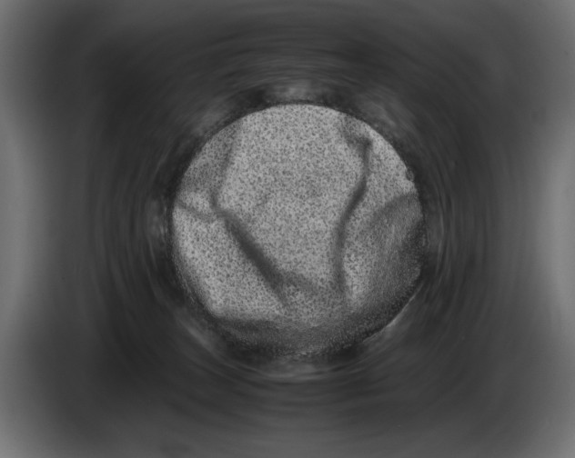 X0000082970179200703020242