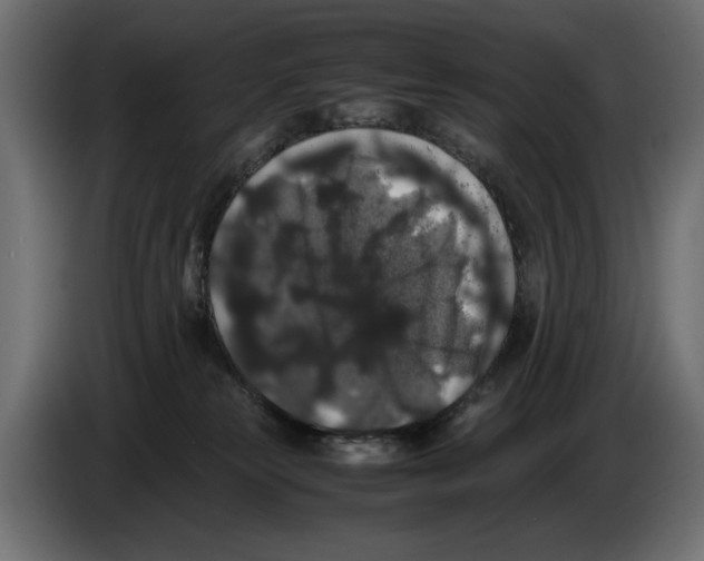 X0000082970181200703020242