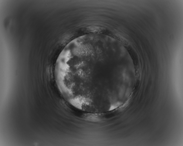 X0000082970182200703020242