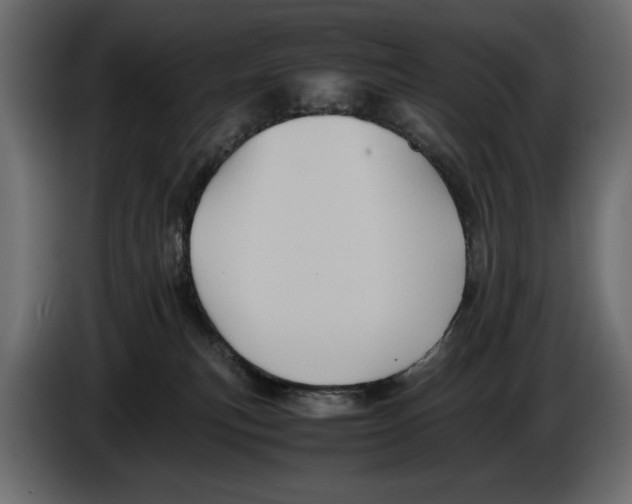 X0000082970183200703020242
