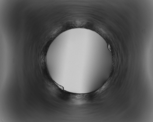X0000082970184200703020242