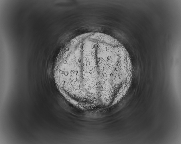 X0000082970185200703020242